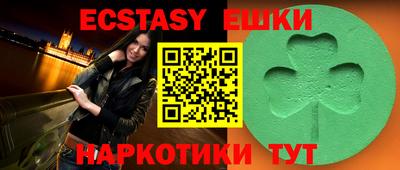 крисы Славгород