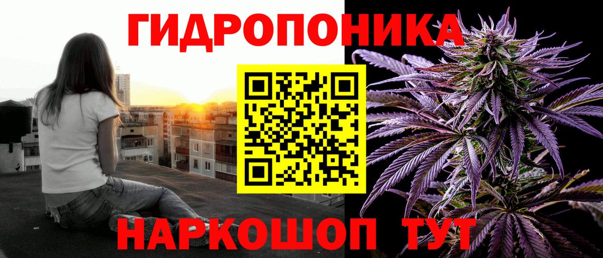 Каннабис гибрид Обь
